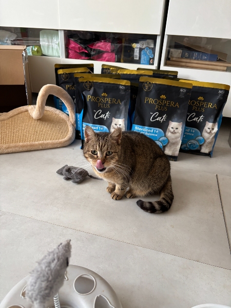 Kouzelná Elvíra z.s.